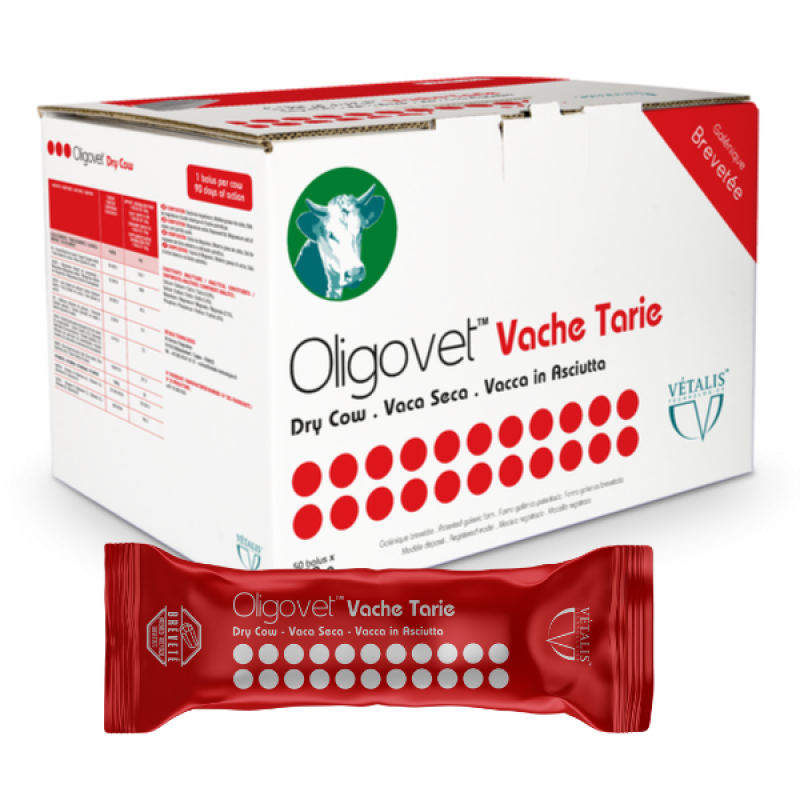 OLIGOVET Dry Cow