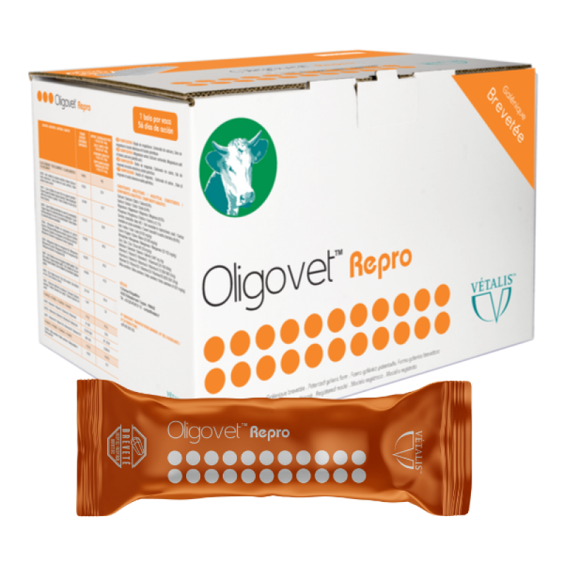 OLIGOVET Repro